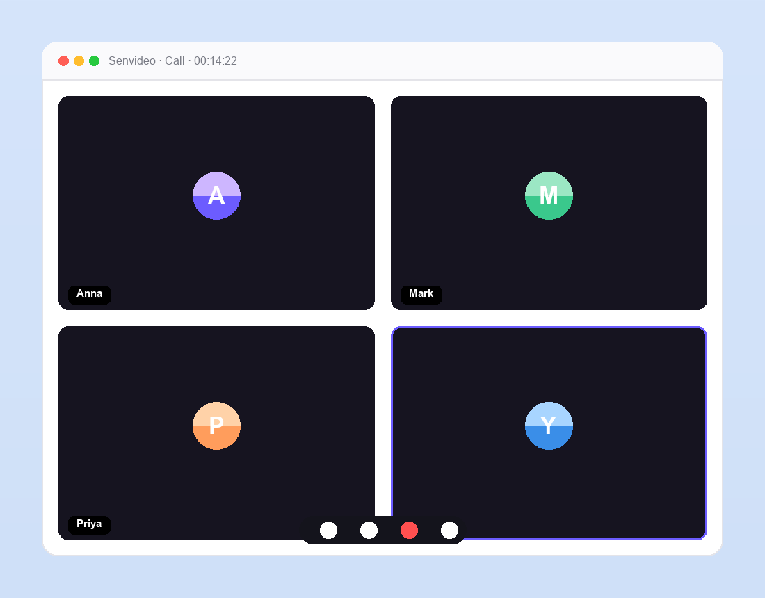 Video meeting with participants